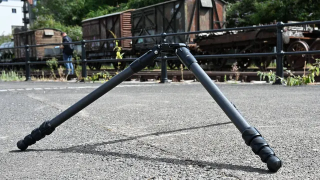 3 Legged Thing Ethan 4
