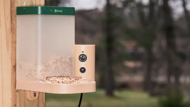 Birdfy Feeder Rookie