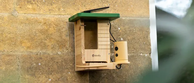 Birdfy Feeder Wood